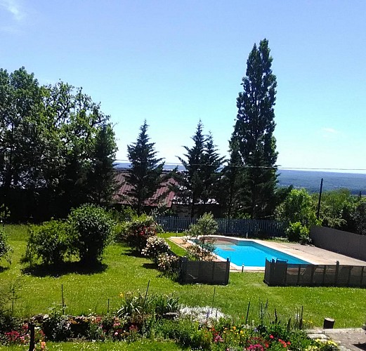 Jardin piscine au carré 2