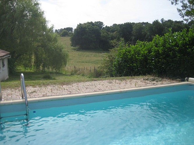 IMG-4397