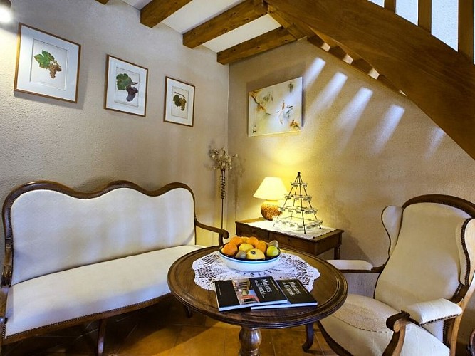 Michele-Duranteau--7-