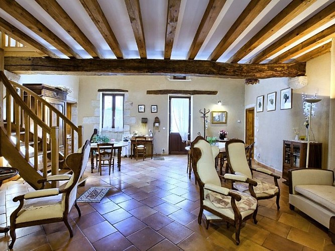 Michele-Duranteau--8-