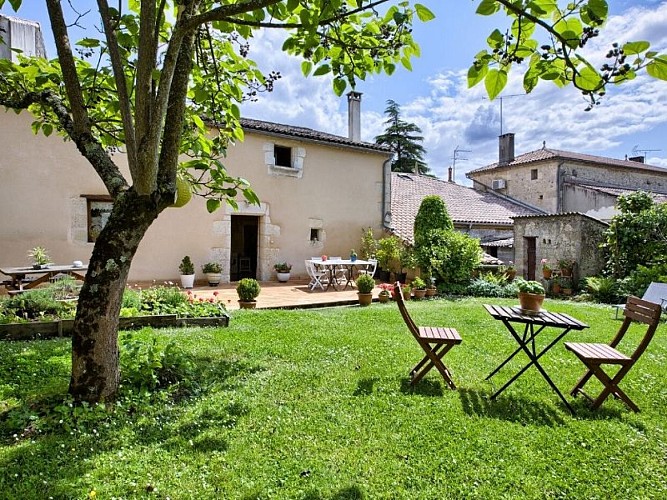 Michele-Duranteau--11-