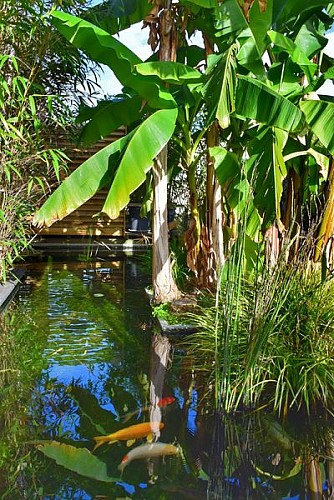 exterieur plan d'eau [800x600]