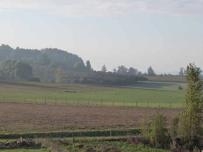 HLOAQU047FS00014_Baleyssagues_LesRiquets_photo6