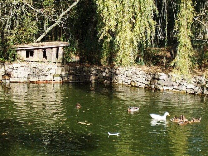 étang-la-canissière