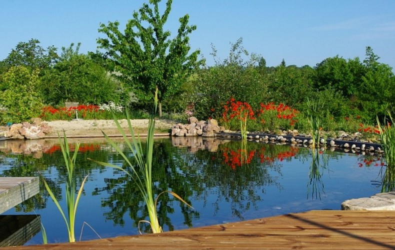 ccc_hlo_hameaudescoquelicots_bles_piscine