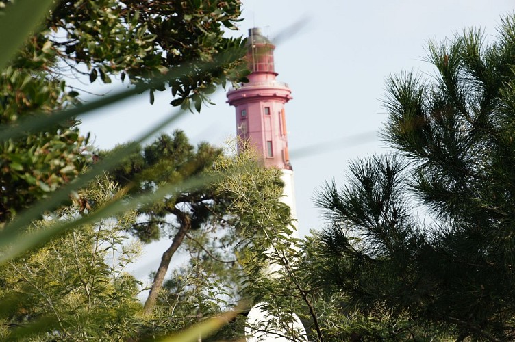 Chambrehote_Lechantdespins(5)