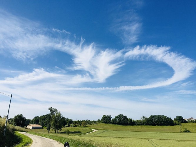 Labarthe Baleyssagues Gîte Hyde (22)