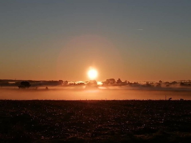 Labarthe Baleyssagues Gîte Hyde (29)