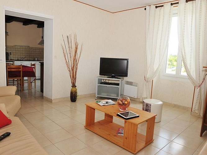 grosse teste-lauzun-salon 3