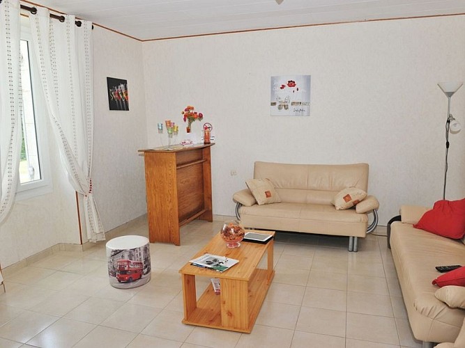 grosse teste-lauzun-salon 2