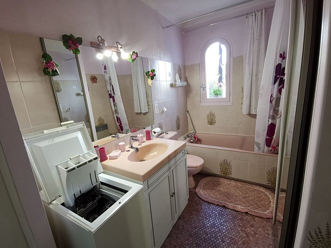 pont_du_casse-ecureuils-destination-agen-tourisme- (7)