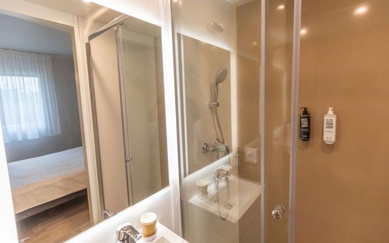 ibis-eliophot-ars-andaux-110 TIS