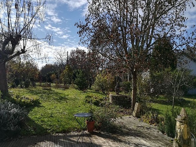 Le Buisson aux angéliques