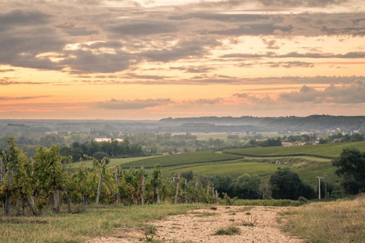 vue-sur-la-garonne-depuis-la-Bastane-2