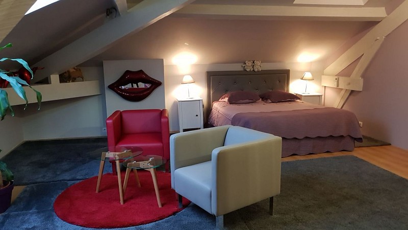 Ch. Les myosoits vue lit 20