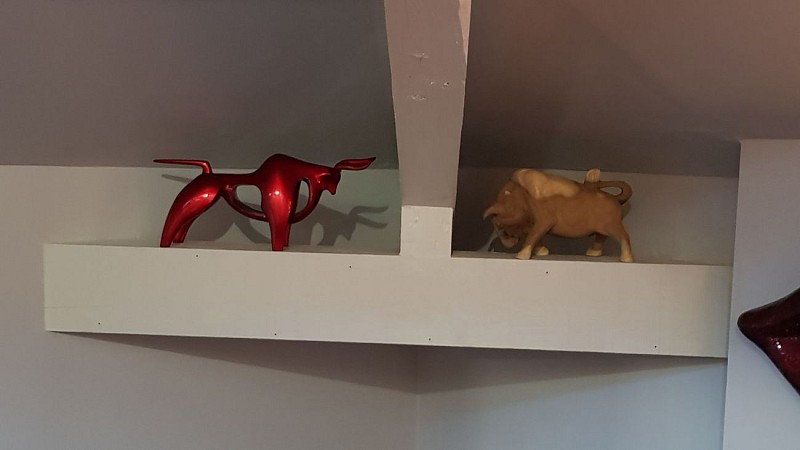 Ch. Les myosotis taureaux