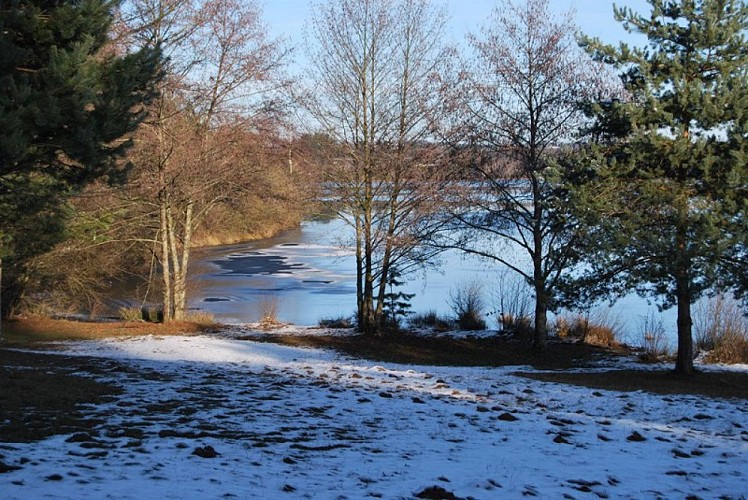 Pêche à la carpe sur le plan d'eau de Miallet - Dordogne Libre