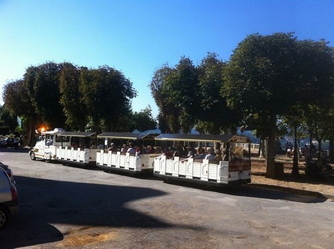 Le Petit Train Dommois