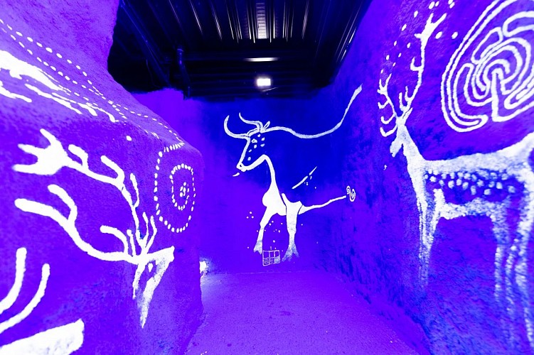 5.2022-08-23_APN_210 2