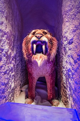 6.2022-08-23_APN_205 2 2