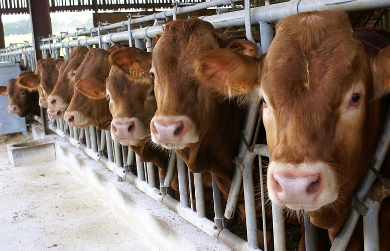 domaine des chaulnes 16