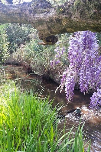 Les Jardins de Mimizan - Chambre Jardin