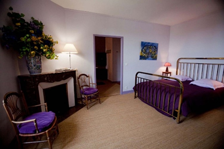 Le Mas chambres et table d'hôtes - Chambre St Mont