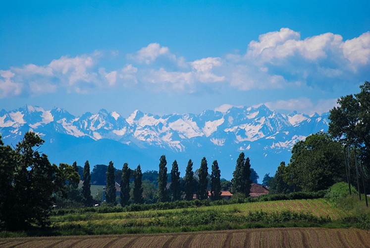 2022_MIR_La Prade002©M. Peras