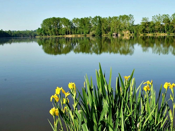 Bazas - Lac de la Prade