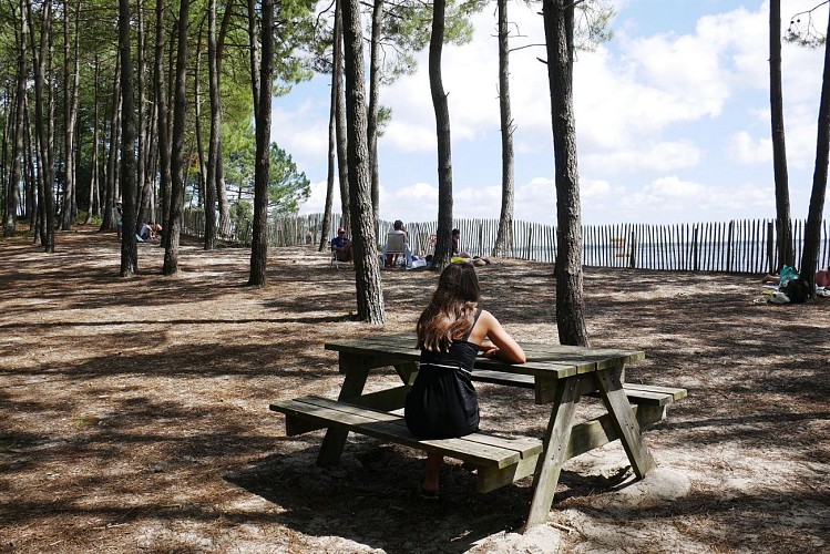 Hourtin Piqueyrot - aire de pique-nique © Médoc Atlantique