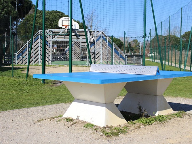 City stade tennis de table