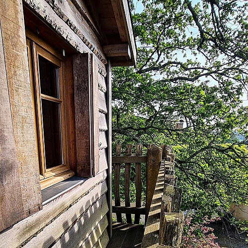 Cabane Papyjotte - essences bois