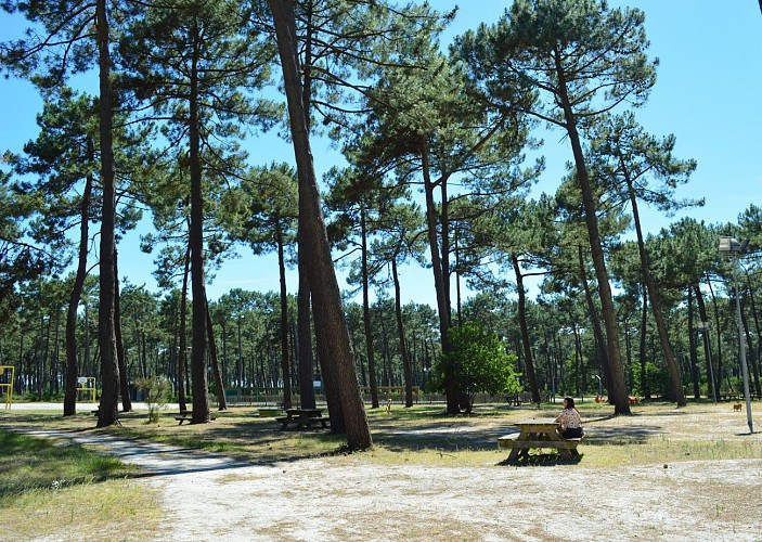 Aire de pique-nique du Gurp - © Médoc Atlantique