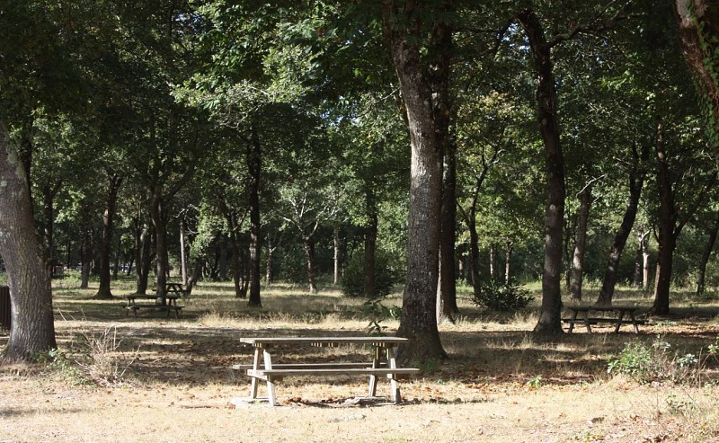 AIRE PIQUE NIQUE GLEIZE VIEILLE