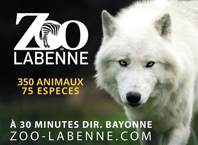 zoo-labenne-landes