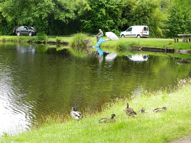 Saint Foy - Etang - Canard - Pêche - Nature