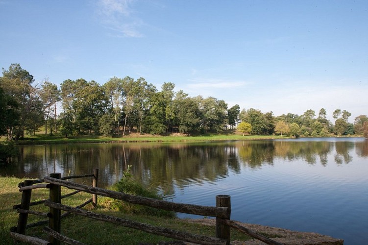 Saint Foy - Etang -  Nature (4)