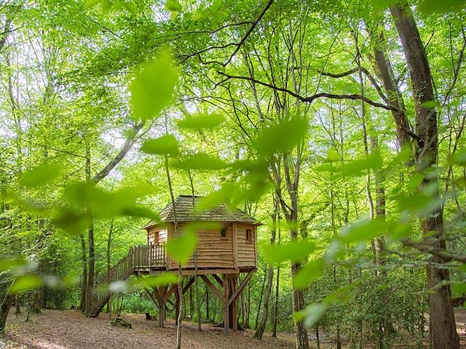 OTLT_HLO_INS_Folies de Sophie_Coulx