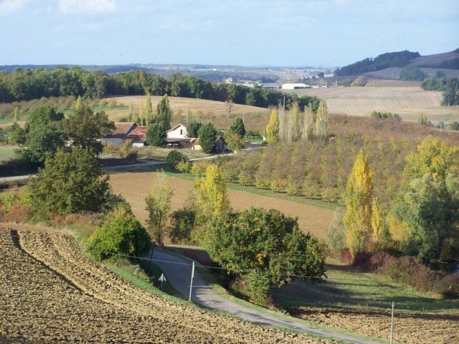 OTLT_HLO_INS_Folies de Sophie_Coulx_vue