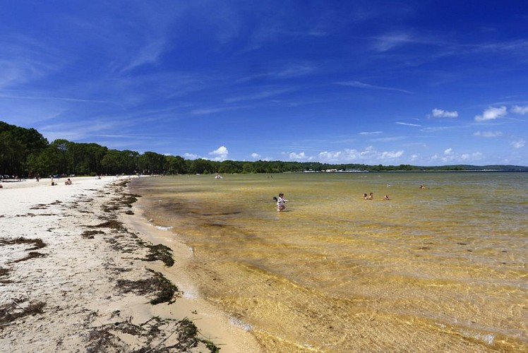 Lac_Bisca_cazaux_sanguinet