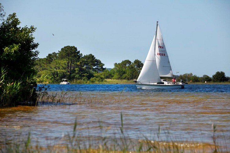 lac-biscarrosse