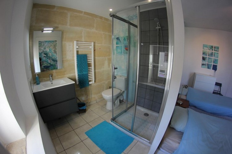 HLOAQU047V5035YV_CHC149B_MEILHANSURGARONNE_SismikAzot1