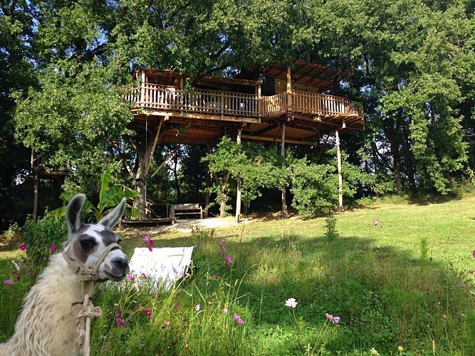 cabane-lama-montignac-de-lauzun