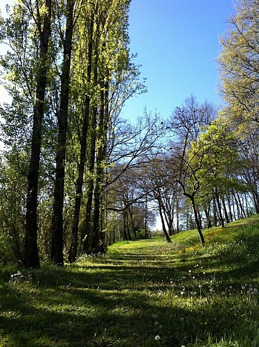 Moulindebapaumes_sirtaqui4