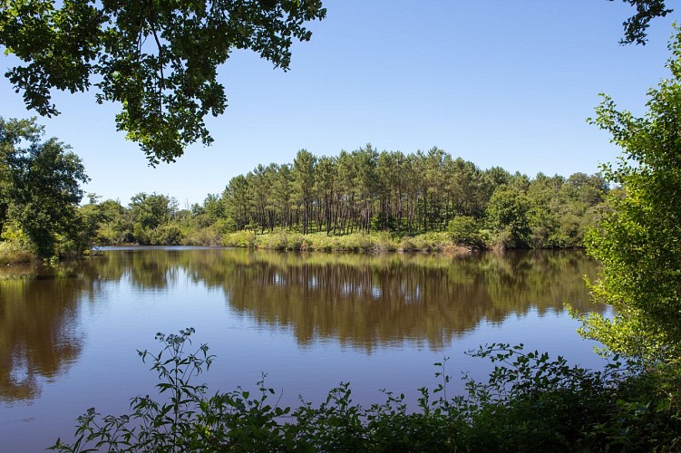 Arthez d'Armagnac - Etang de la Gaube - Domaine d'Ognoas (5)