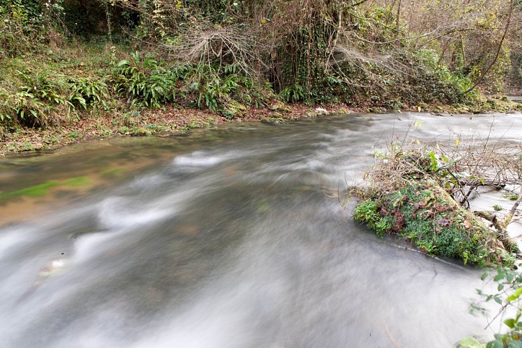 Roquefort - Estampon (2)