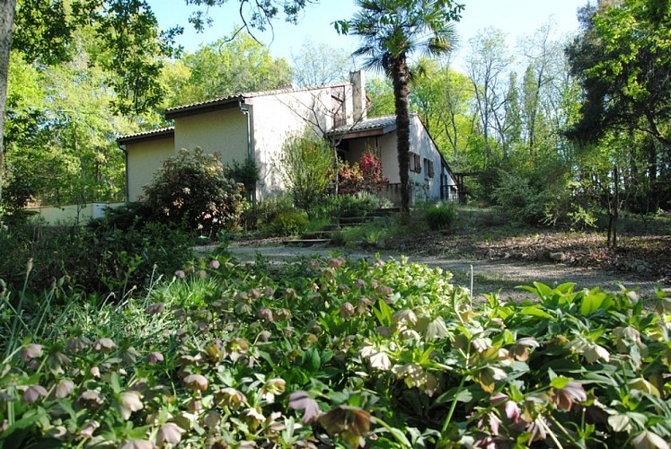 La Maison des Landes extérieurs et parc 2