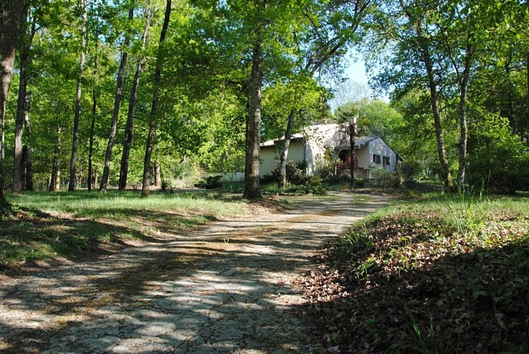 La Maison des Landes extérieurs et parc