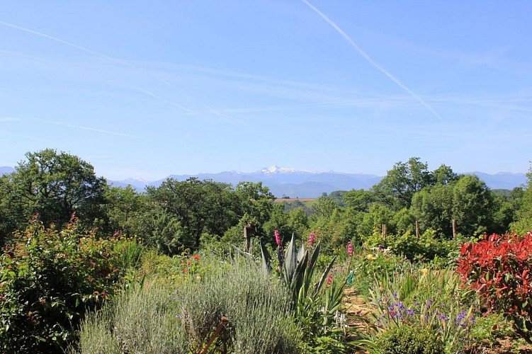 Maison-Millage-Vue-Beatrice-Albrecht