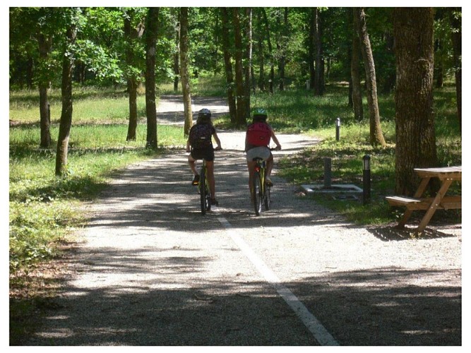 Balade en vélo à La Taillade